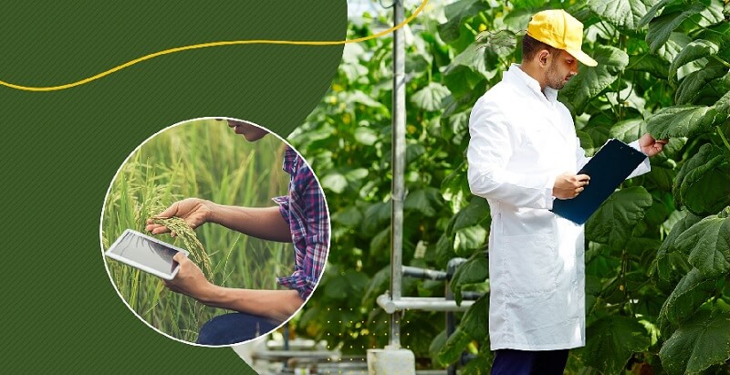 Mã trường Đại học Nông Lâm - Những ngôi trường Nông Lâm đắt giá