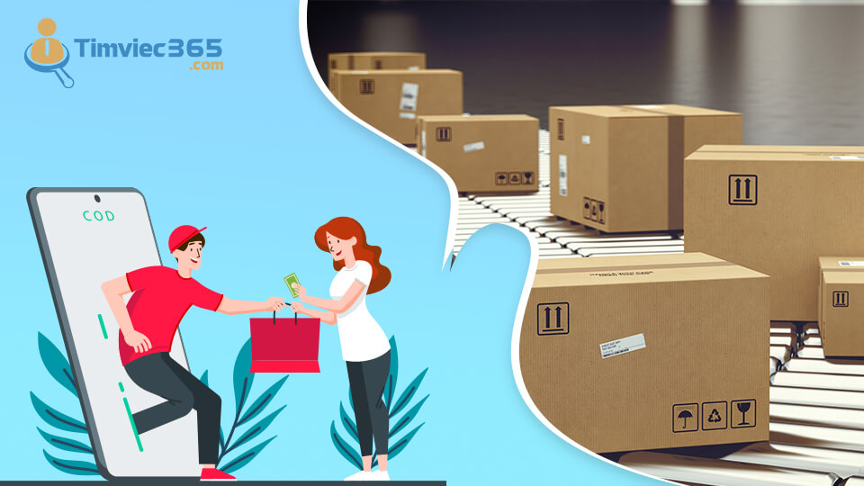 Parcel là gì - Những thông tin quan trọng về khái niệm này