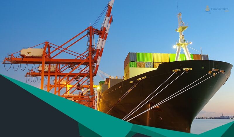 Tìm hiểu về ngành xuất nhập khẩu: SO là viết tắt của từ gì?