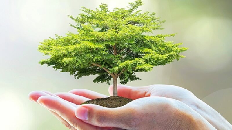 Vệ sinh môi trường là gì? Biện pháp vệ sinh môi trường cấp thiết