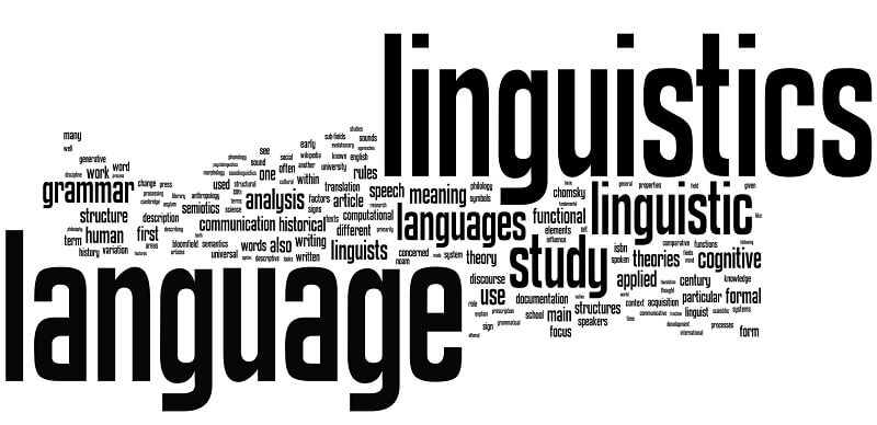 Ngành linguistics là gì? Những điều cần biết về ngành học này