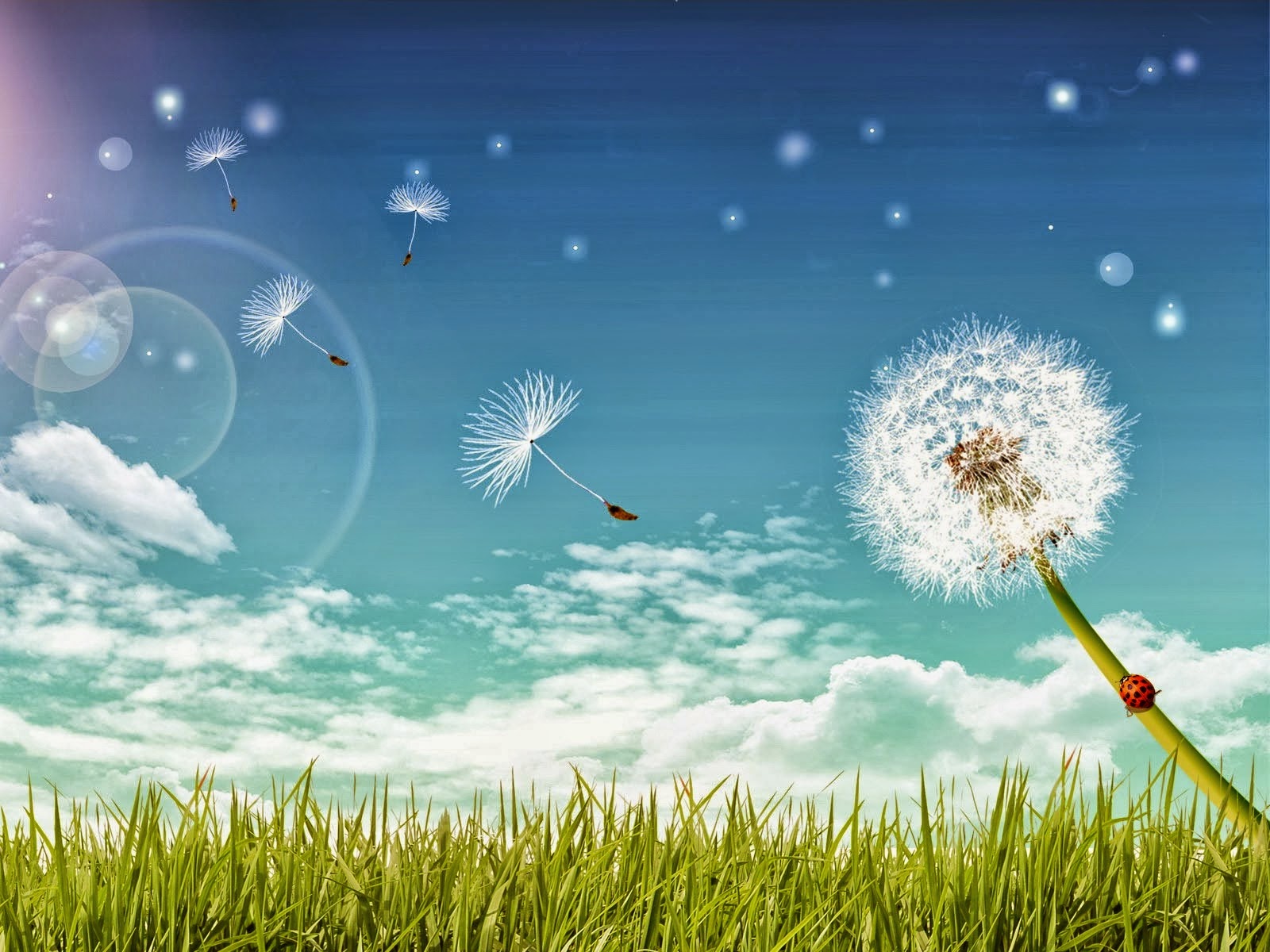  [ĐỊNH NGHĨA] Lòng tốt là gì? Mặt trái của lòng tốt nơi công sở