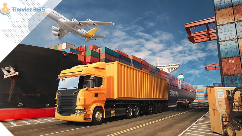 Bằng D lái xe gì? Một số thông tin về bằng lái xe hạng D