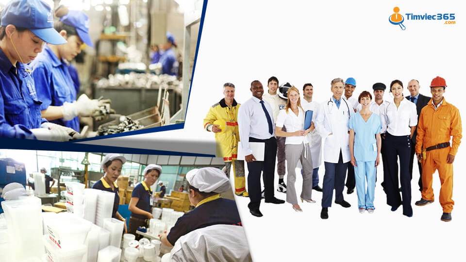 MPS là gì và tất cả những đặc điểm về kế hoạch sản xuất chính