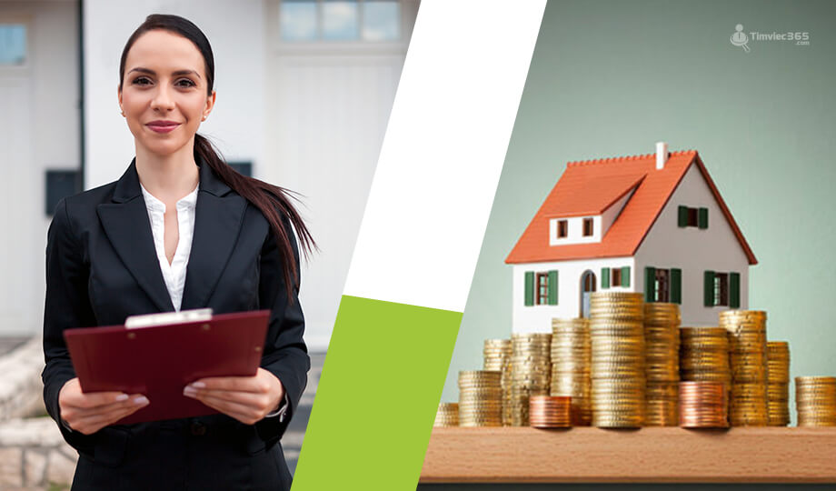 Gợi ý các công việc văn phòng không cần bằng cấp hiện nay