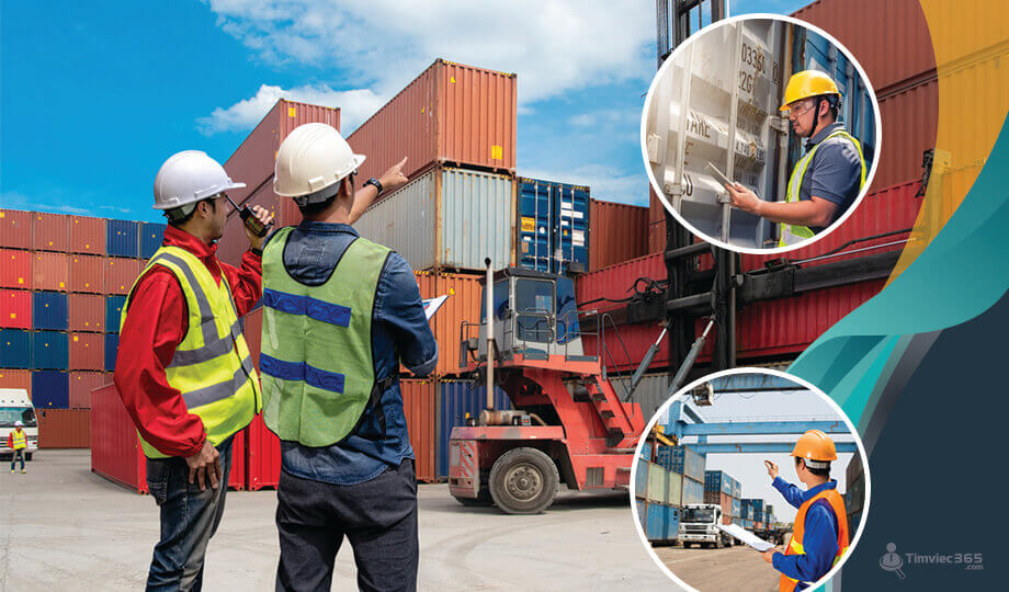 Khám phá thông tin Nhân viên hiện trường xuất nhập khẩu chi tiết