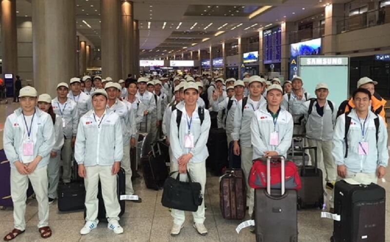Hướng dẫn cách viết sơ yếu lý lịch đi làm việc ở nước ngoài