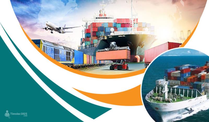 Hướng dẫn cách tạo và in mã vạch hải quan chi tiết nhất cho bạn