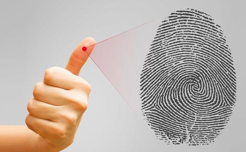 Nên mua máy chấm vân tay loại nào? Top máy chấm vân tay tốt nhất