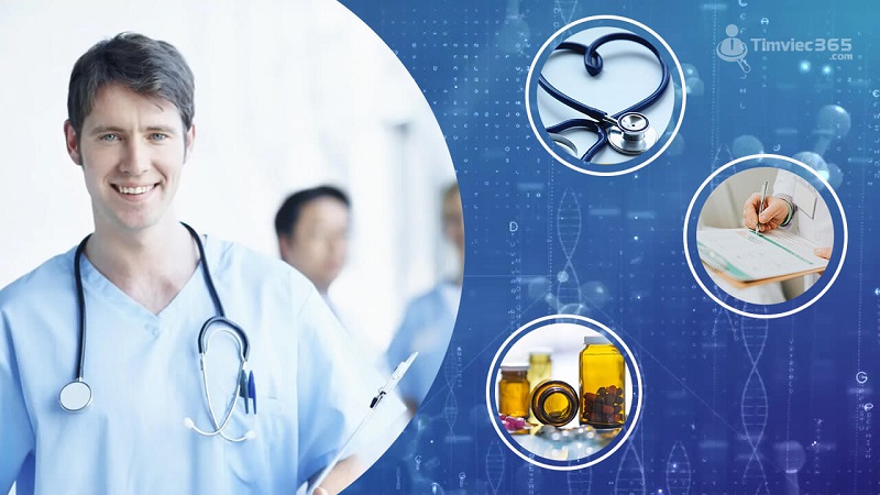 Hướng dẫn chi tiết chuẩn bị hồ sơ xin việc y tế học đường