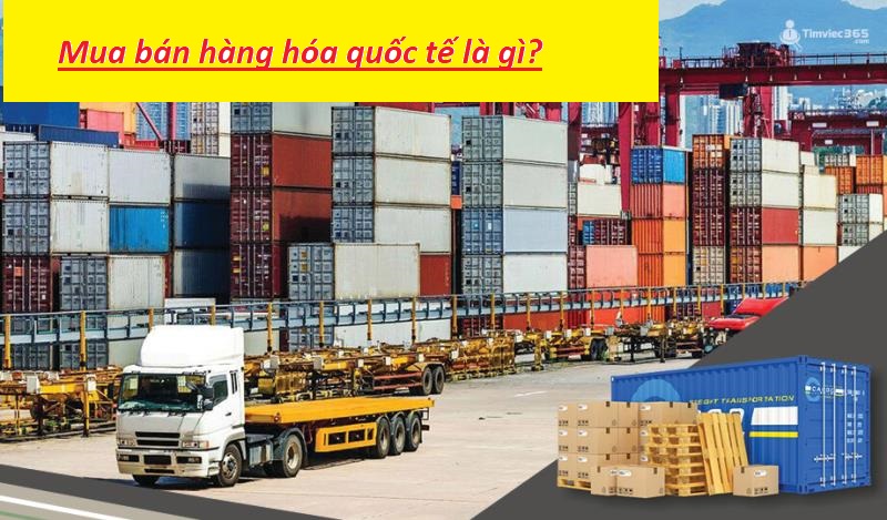 Trả lời cho câu hỏi mua bán hàng hóa quốc tế là gì?