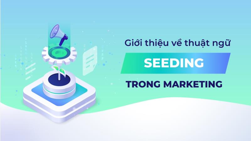 Seeding là gì và vai trò quan trọng trong Digital marketing