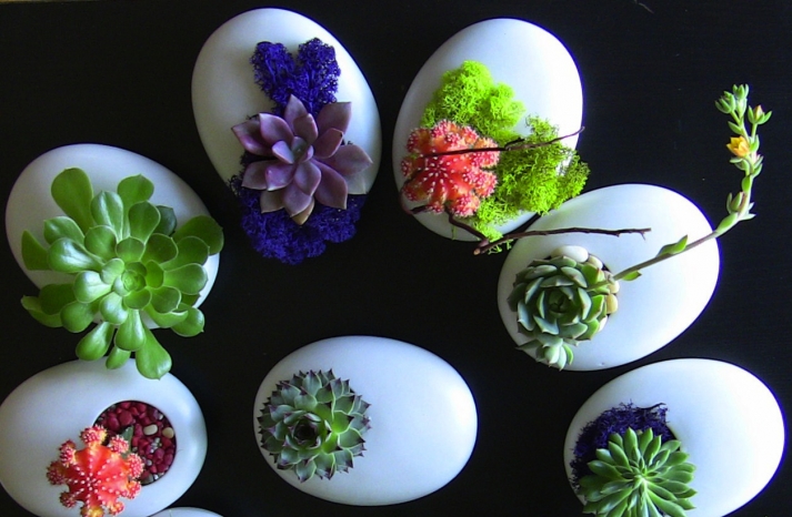 Kinh nghiệm kinh doanh cây cảnh mini thành công với số vốn nhỏ