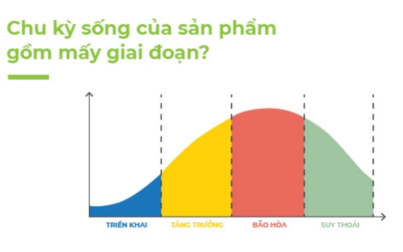Khám phá chu kỳ sống của sản phẩm và chiến lược Marketing phù hợp