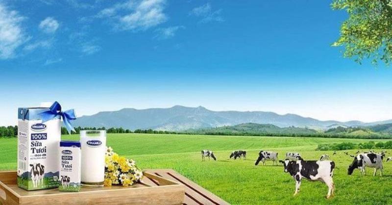 Cần bao nhiêu vốn mở cửa hàng sữa Vinamilk nhà kinh doanh đã biết?