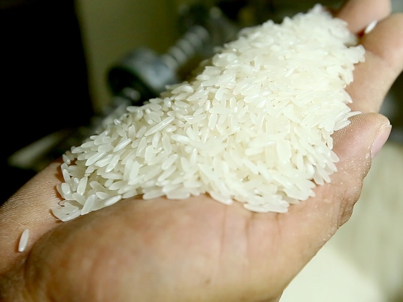 Tiềm ẩn các rủi ro khi kinh doanh gạo bạn cần biết
