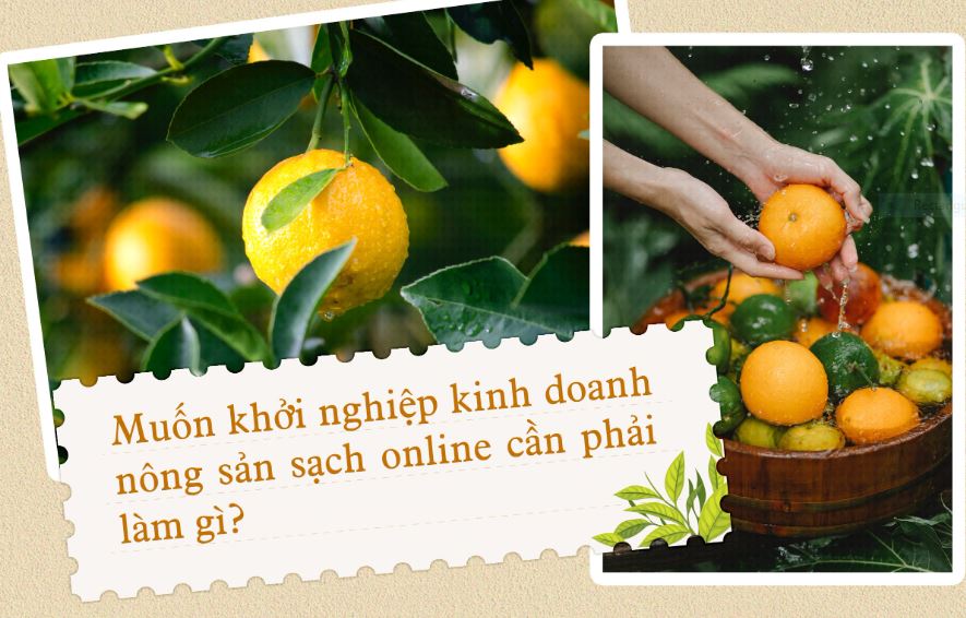 Kinh doanh nông sản sạch online - Thách thức để thành công 