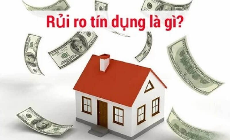 Các loại rủi ro tín dụng trong ngân hàng thường gặp