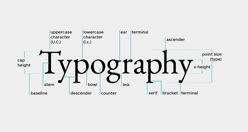Typography trong thiết kế đồ họa quan trọng như nào?Cùng tìm hiểu