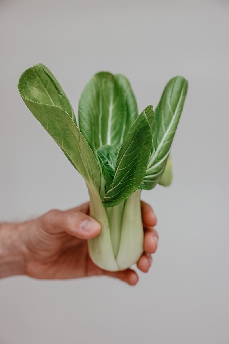 Chuỗi cung ứng thực phẩm là gì và quy trình cung ứng ra sao?