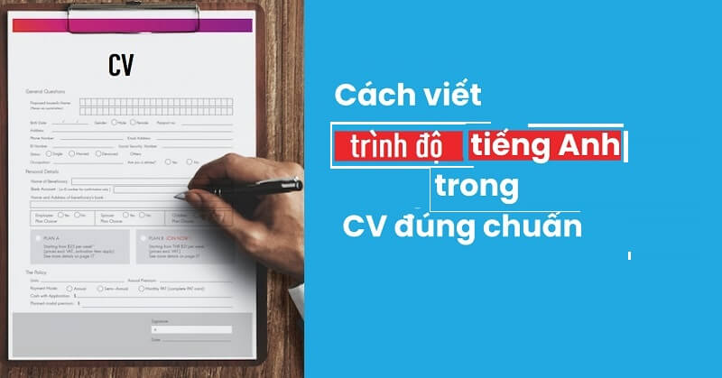 Cách thể hiện trình độ tiếng Anh trong CV giúp CV dễ dàng tỏa sáng