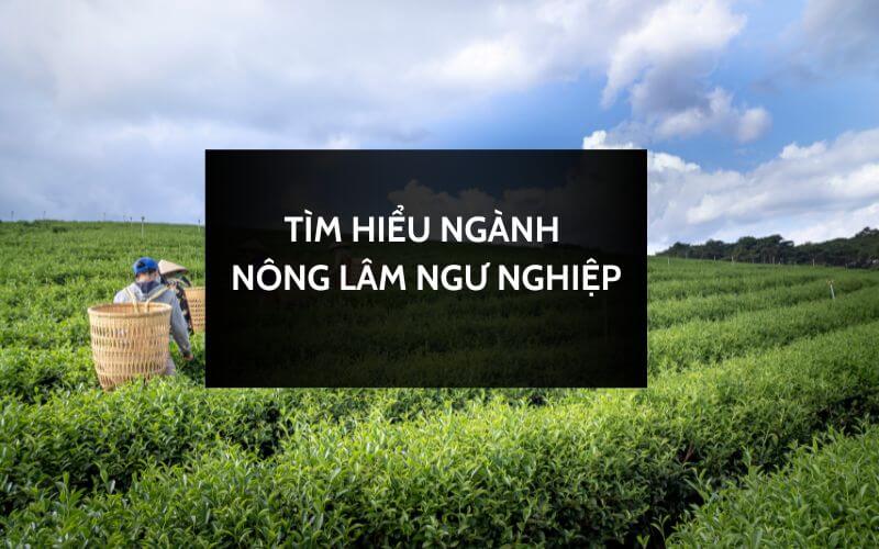 Ngành nông, lâm, ngư nghiệp là gì? Cơ hội việc làm hấp dẫn