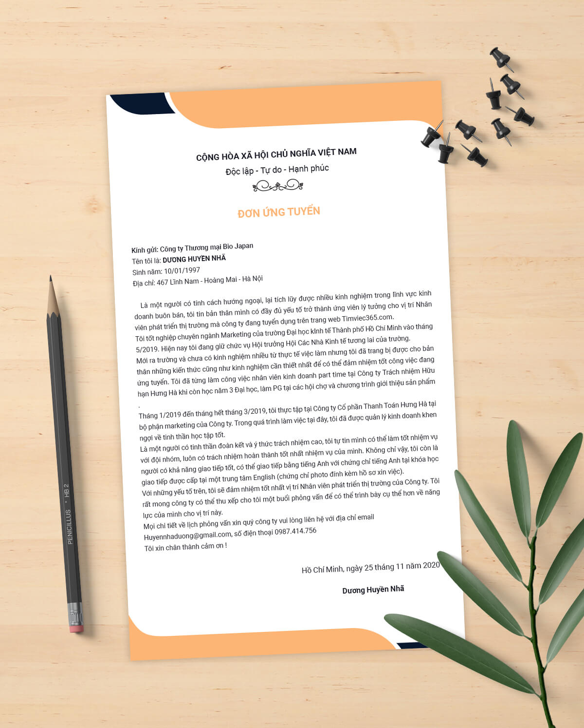 phát triển thị trường 08 phát triển thị trường 08