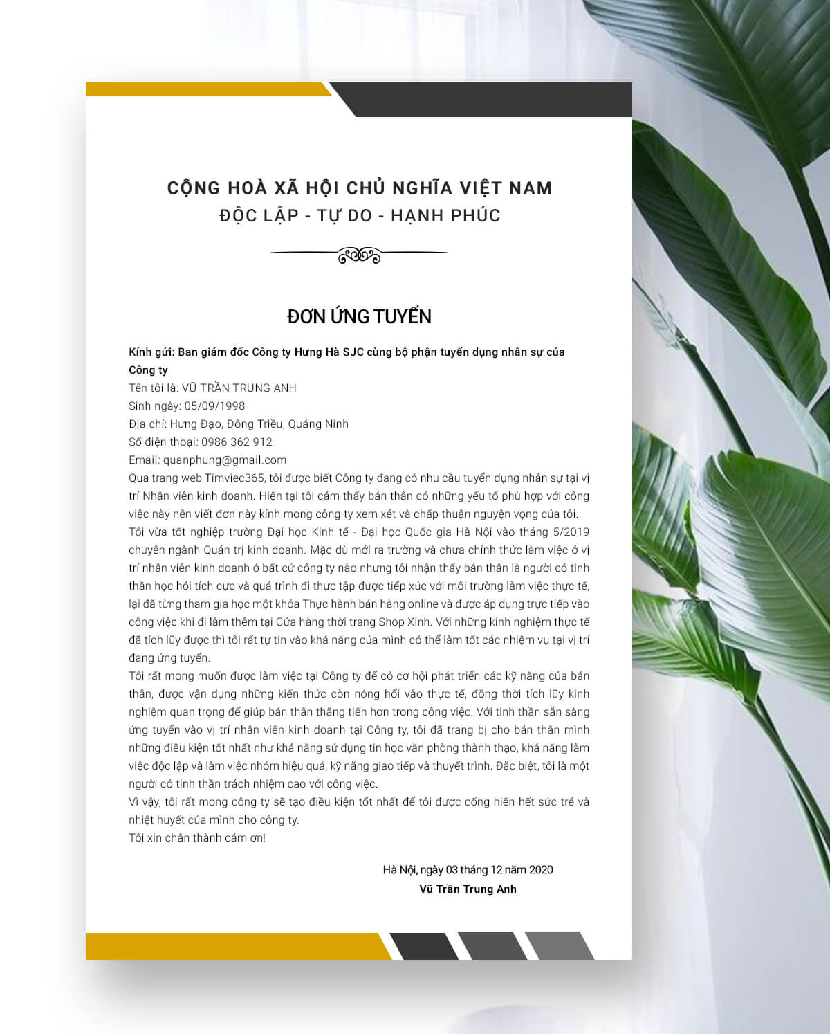 Sinh viên mới ra trường 02