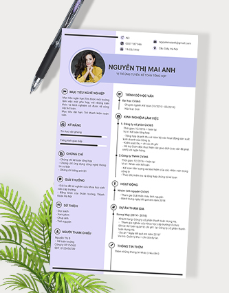 Mẫu CV Xin Việc Số 09