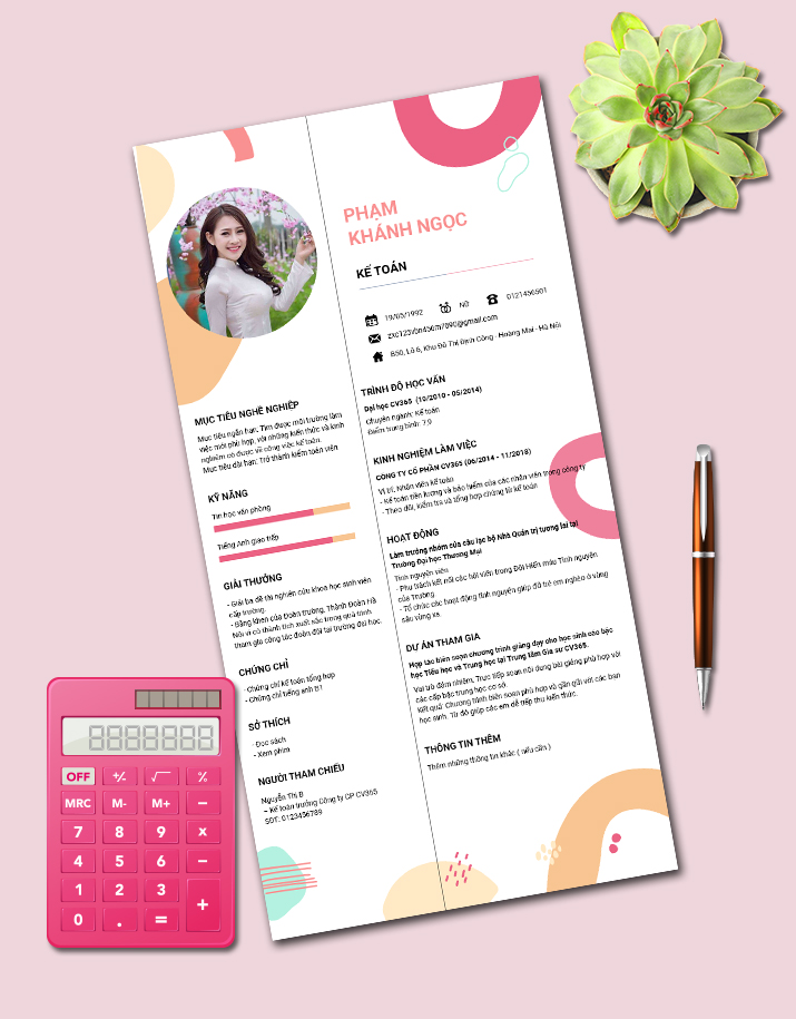 Mẫu CV xin việc Kế toán 12