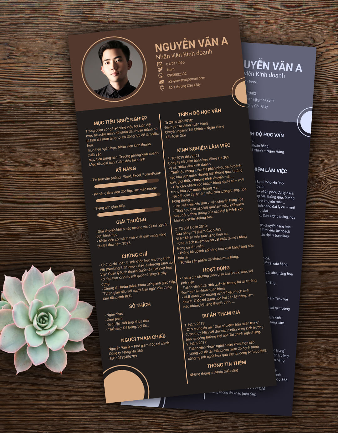 Mẫu CV Kinh doanh 12